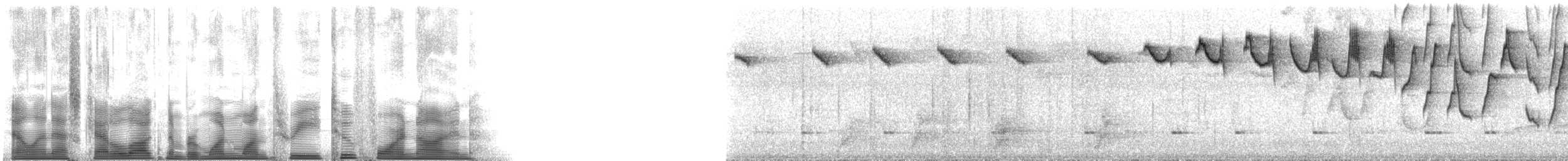 Карликовый колибри-отшельник - ML113249