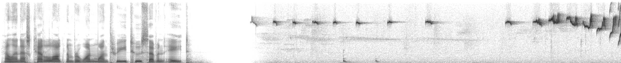 Карликовый колибри-отшельник - ML113278