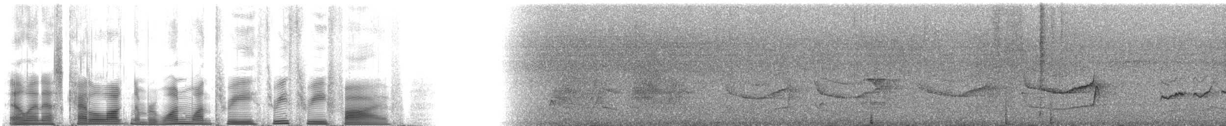 Band-tailed Antwren - ML113335