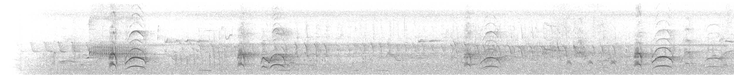 Büyük Kiskadi Tiranı - ML113362701