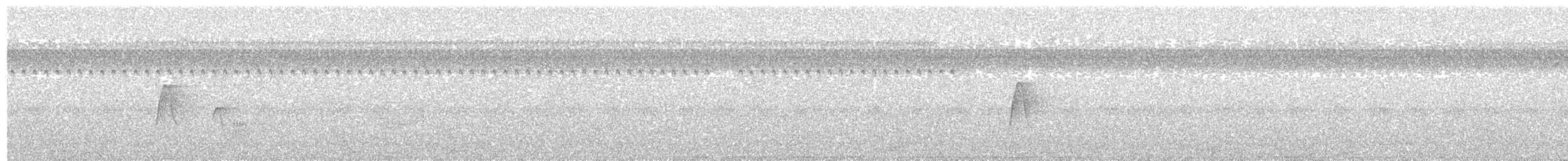 Acadian Flycatcher - ML113410161