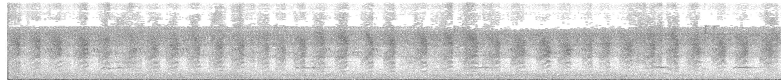 Каролинский крапивник - ML113413591