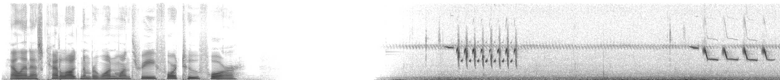 Troglodyte de Latham (platensis/polyglottus) - ML113424