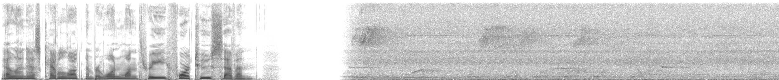 Weißkopfkuckuck - ML113427