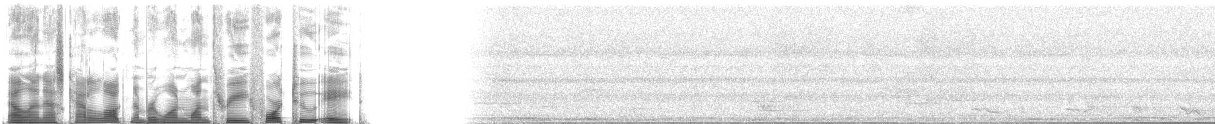 Melanesien-Lederkopf - ML113428