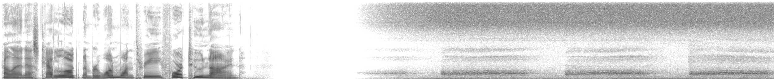 Blasskopfkuckuck - ML113429