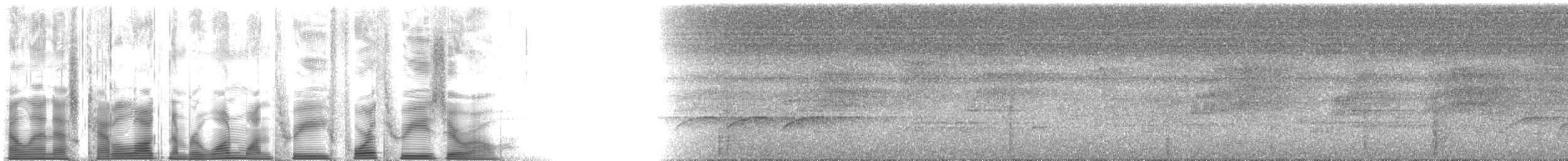 Schwarzrückenmonarch - ML113430