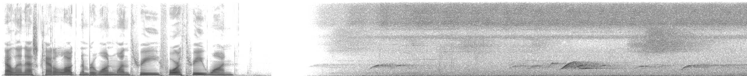 Bismarckatzel - ML113431