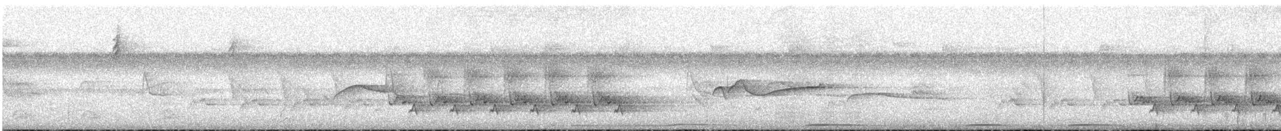 Поплітник каролінський - ML113553391