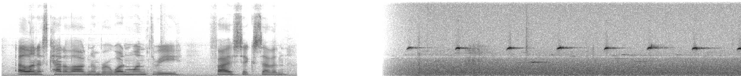 Рыжезвёздная мухоловка - ML113567