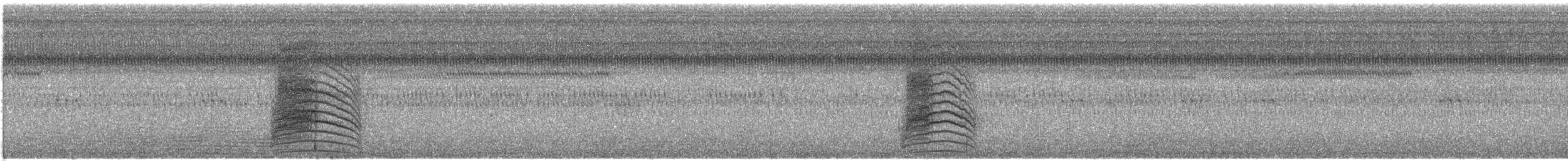 Katzenspottdrossel - ML113567961