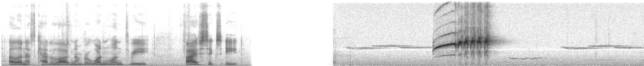 Spot-necked Babbler - ML113568