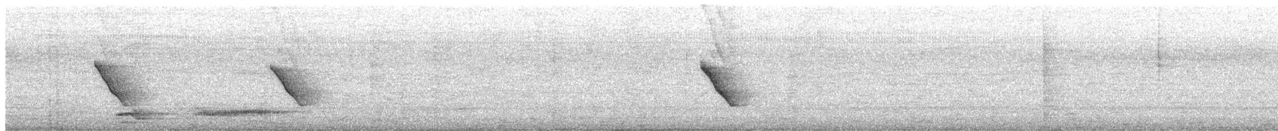 langhaleskredderfugl - ML113602201