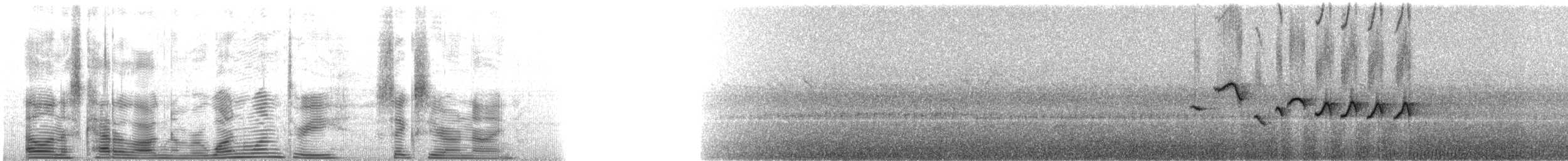 Трав’янка сіра - ML113609