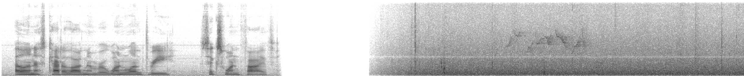 Gray-bellied Tesia - ML113615