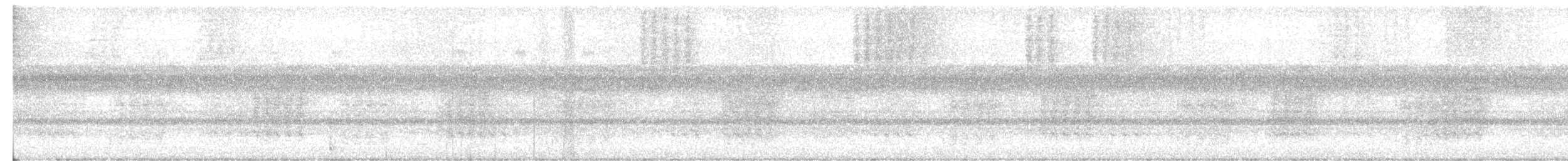 Barred Owl - ML113643831