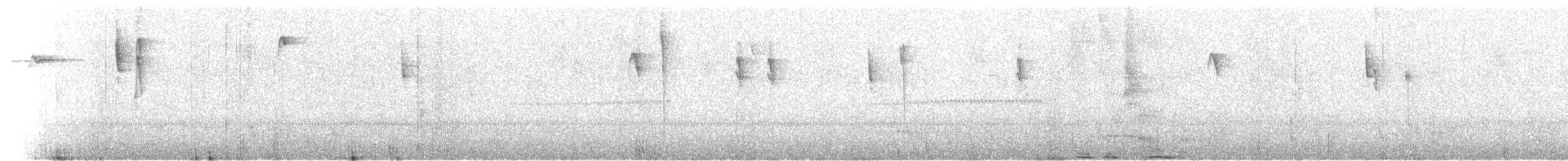 Percefleur glauque - ML113655201