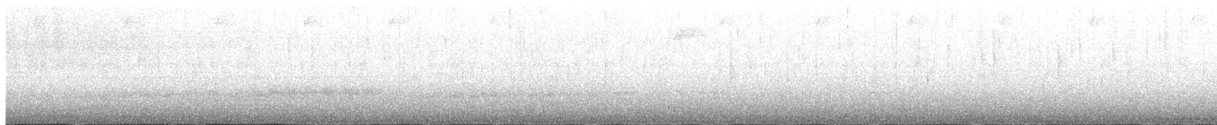 Grallaire du Tachira - ML113660781