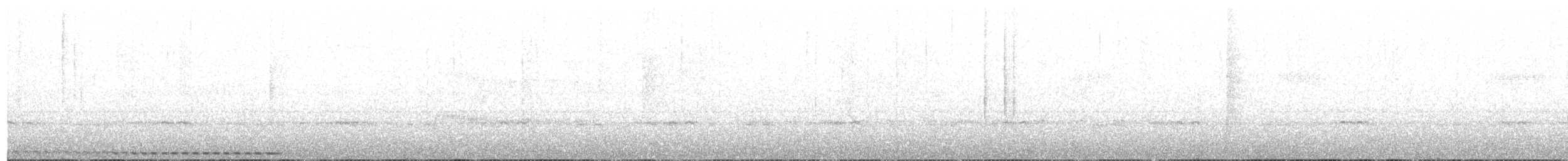 Grallaire du Tachira - ML113666131