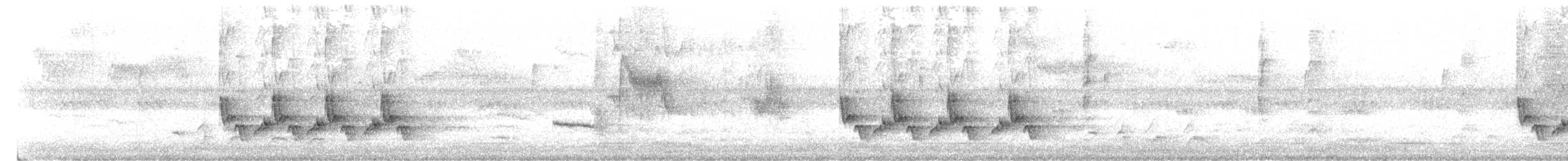 Поплітник каролінський - ML113673401