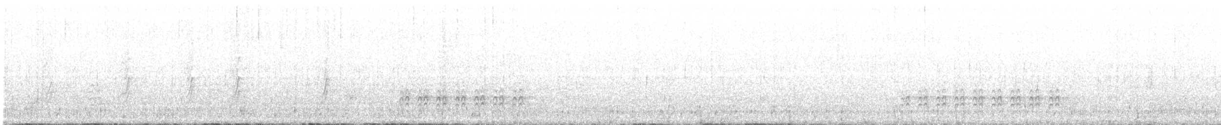 Sittelle à poitrine blanche (groupe lagunae) - ML113680561