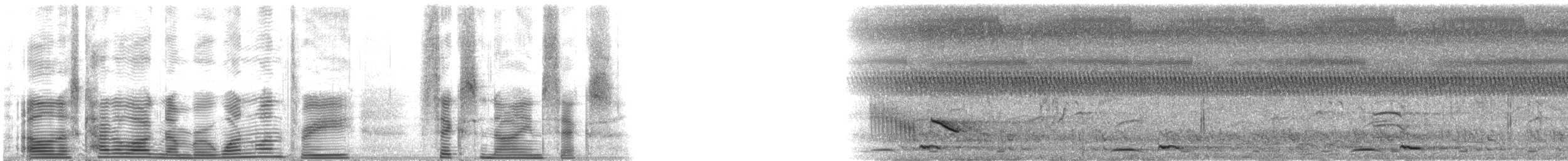 Белокрылая цапля - ML113696