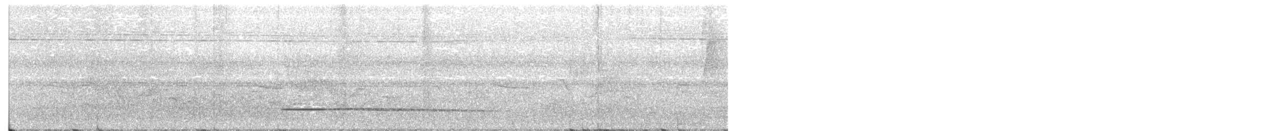 Little Tinamou - ML113726591