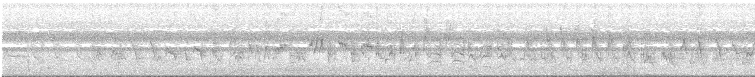 Sporophile variable - ML113727711