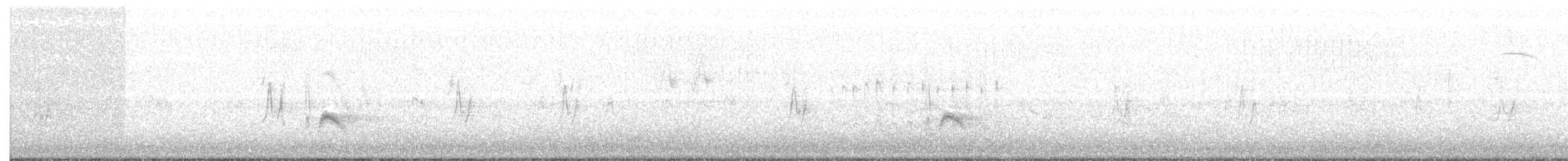 Gri Boğazlı Sinekkapan - ML113743691