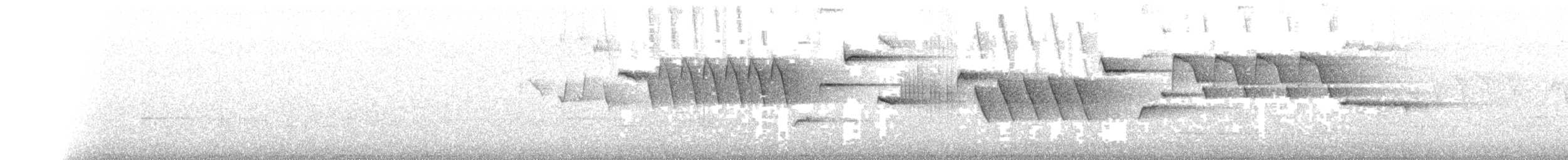 Troglodyte mignon (indigenus) - ML113866041