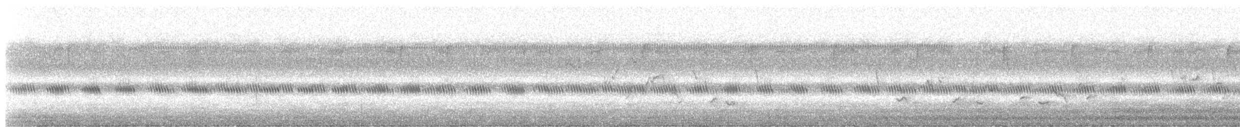Warbling Vireo - ML113910271