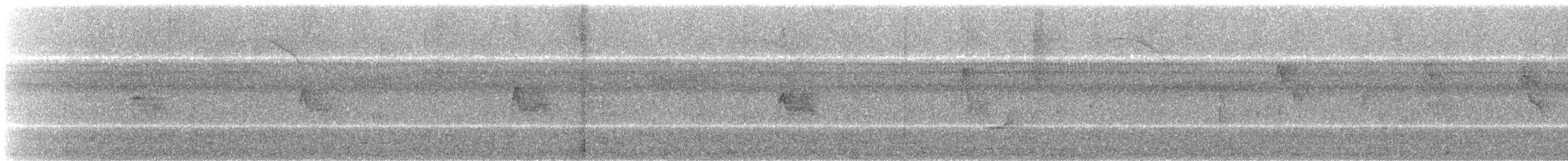 Eastern Wood-Pewee - ML114031151