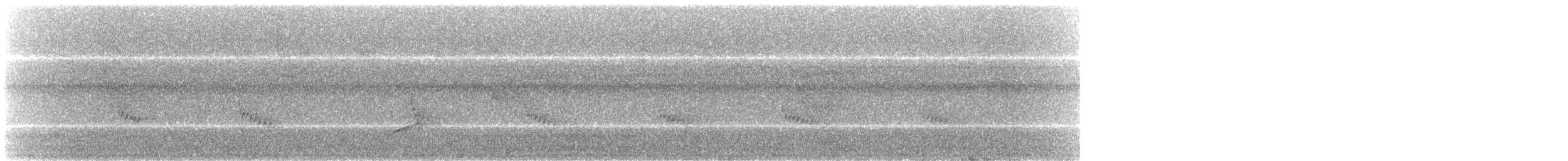 Carolina Wren - ML114031271