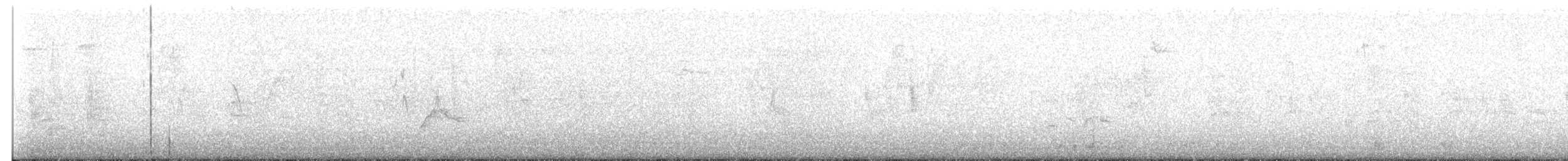 קיכלי סיבירי - ML114038011