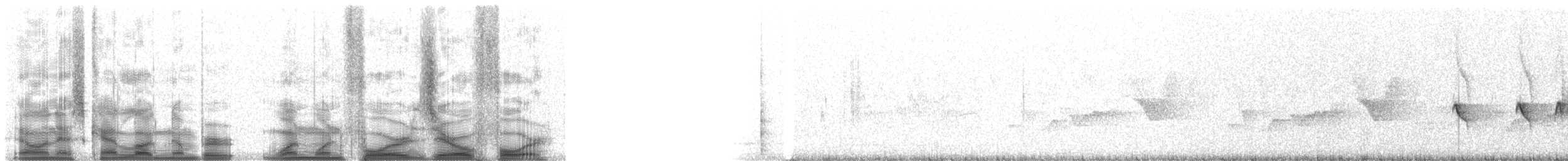 Strichelkopf-Ameisenfänger - ML11404