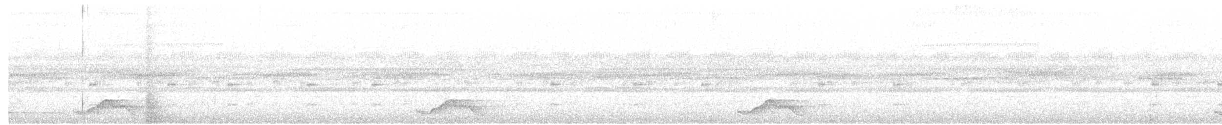 Pauraquenachtschwalbe - ML114120511