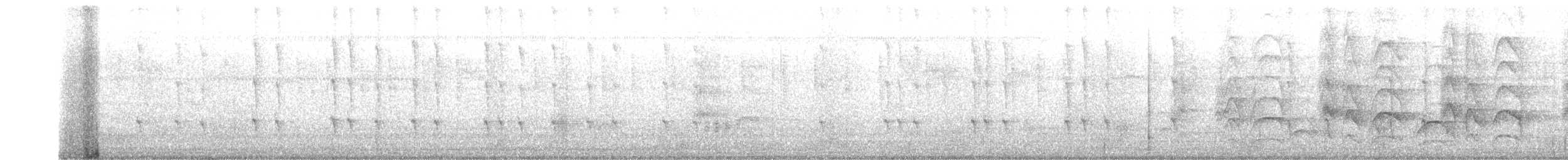Wedge-tailed Sabrewing - ML114128001
