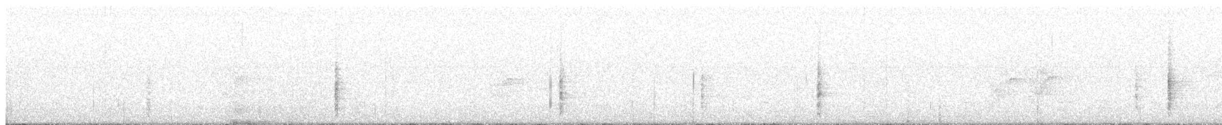 Brewer's Blackbird - ML114355121