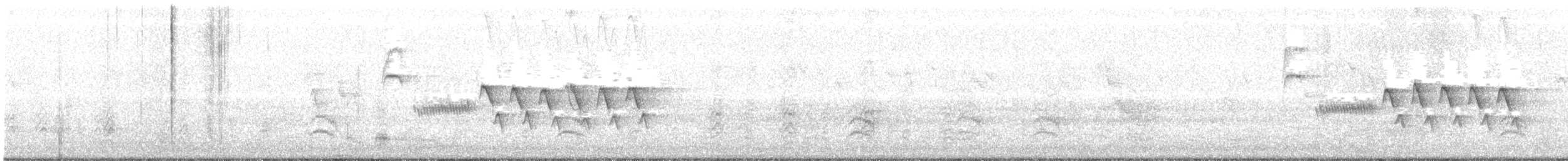 Bewick's Wren - ML114386591