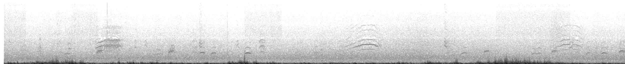 passereau sp. - ML114398801