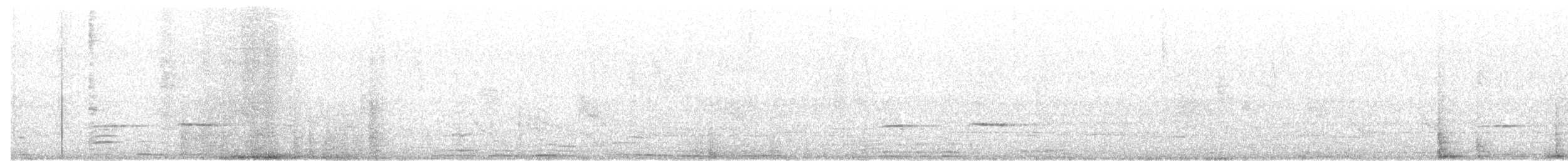 Striped Cuckoo - ML114404051
