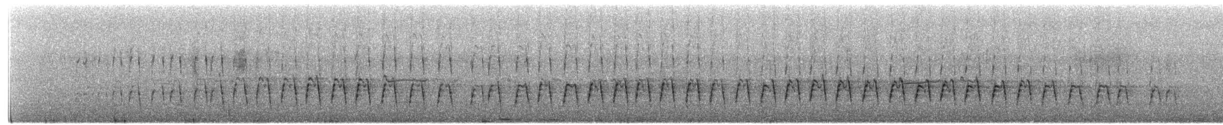 Western Grebe - ML114435451