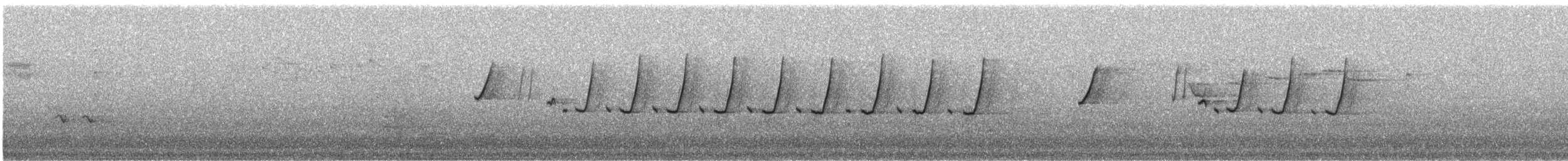 Méliphage à bec grêle - ML114438471