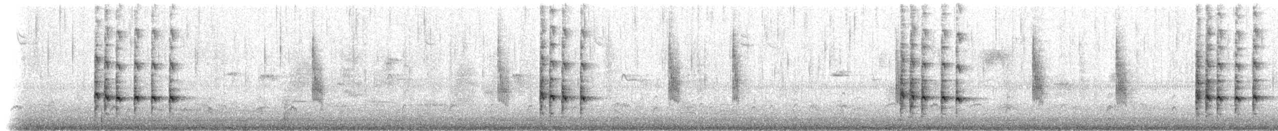 Virginia Rail - ML114526571