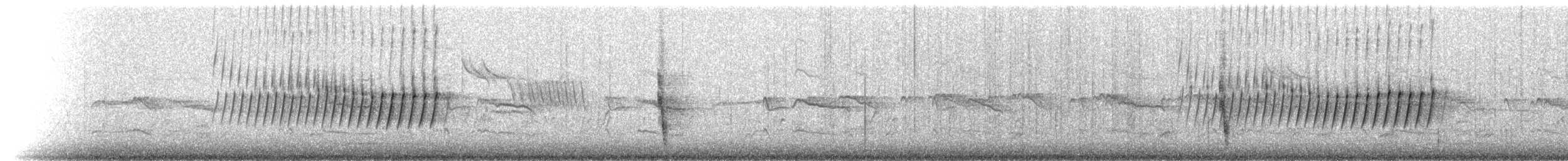 Bewick's Wren - ML114527811