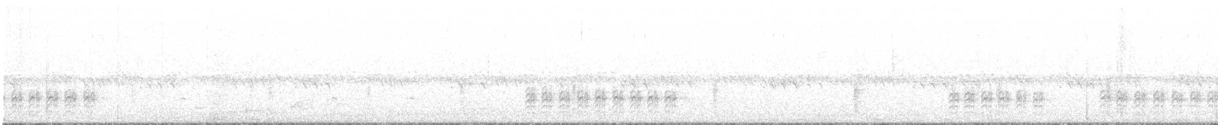 Sittelle à poitrine blanche (groupe lagunae) - ML114533011
