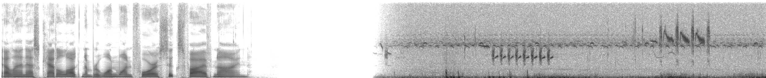 Травяной крапивник (platensis/polyglottus) - ML114659