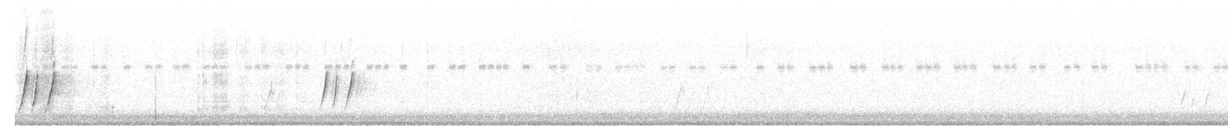 Krummschnabel-Spottdrossel [palmeri-Gruppe] - ML114667211