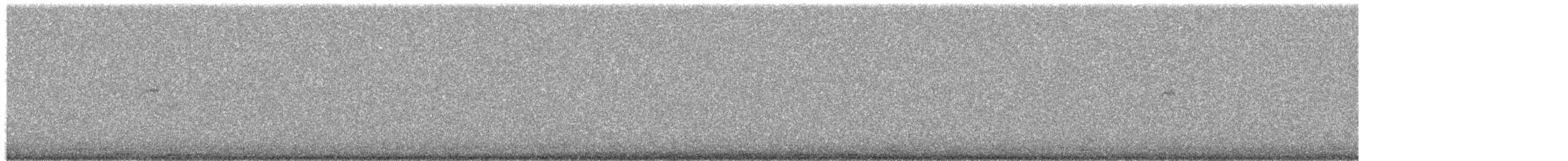 passerine sp. - ML114668701