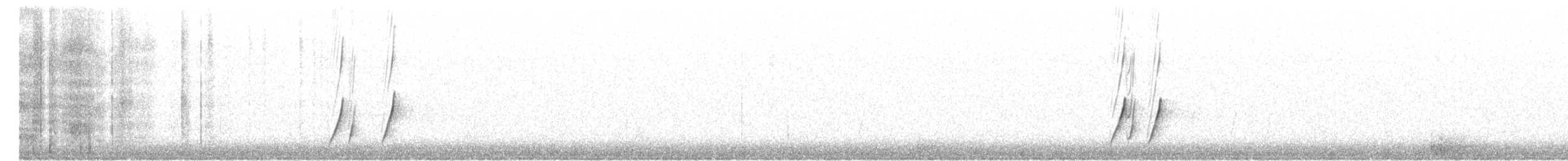 Moqueur à bec courbe (groupe palmeri) - ML114734201